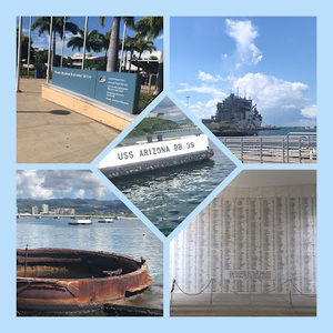 Meet your Posher, Rosalie